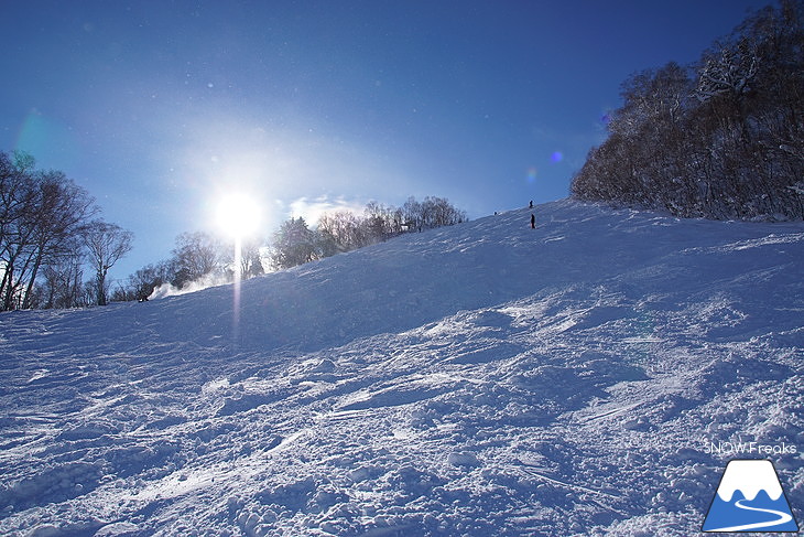 サッポロテイネ -11℃！空に舞い上がる粉雪。